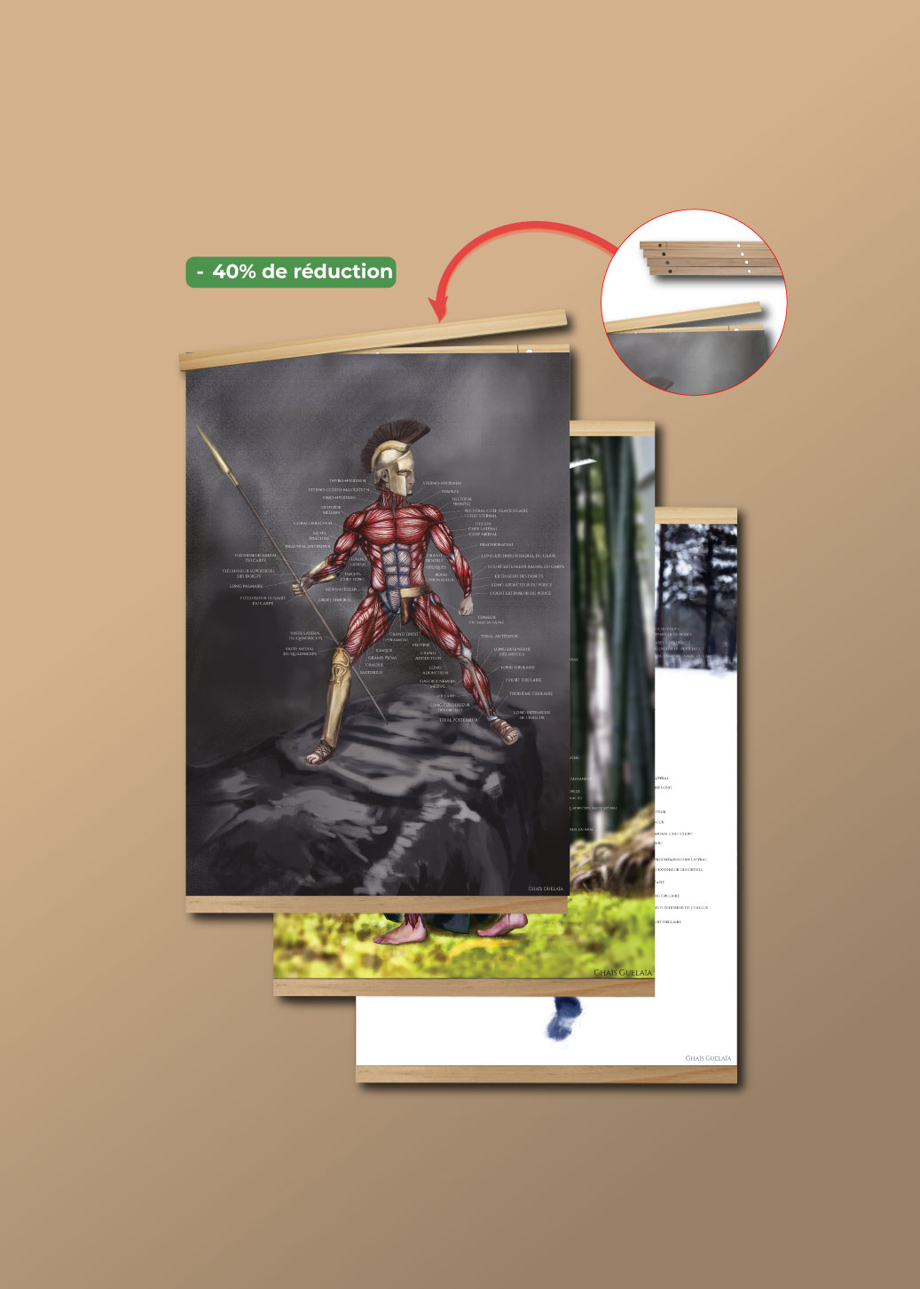 Pack-poster-anatomique